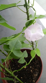 2011062410480000.jpg