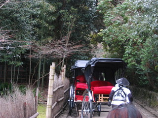 IMG_kuruma.JPG